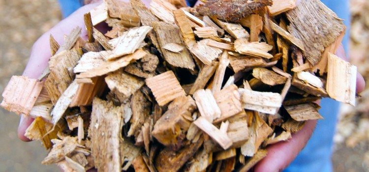 BiomassChips