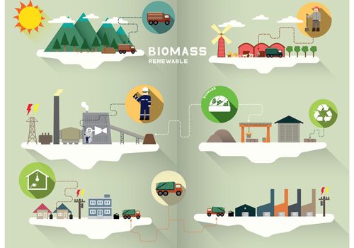 biomass graphic